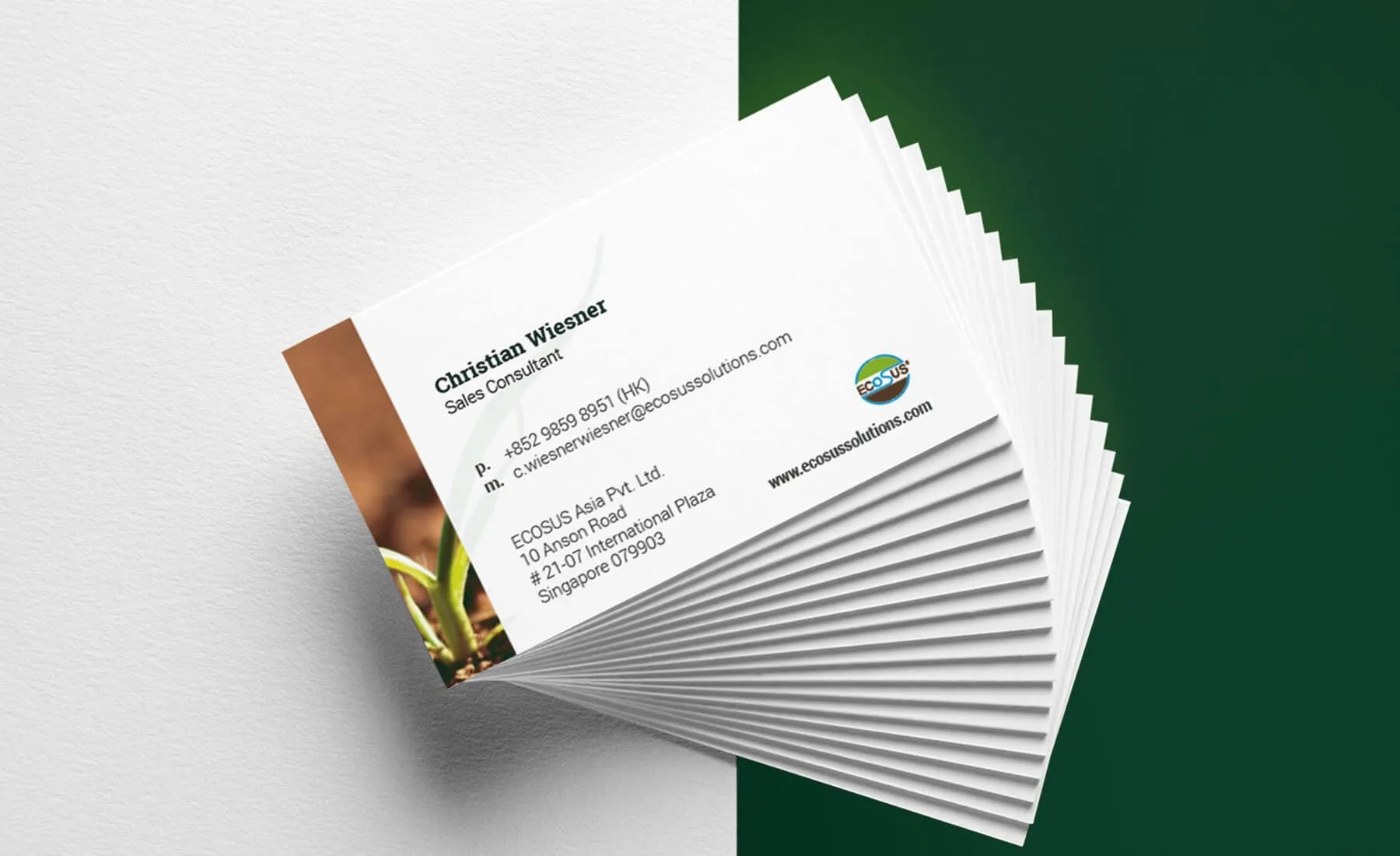 business card design